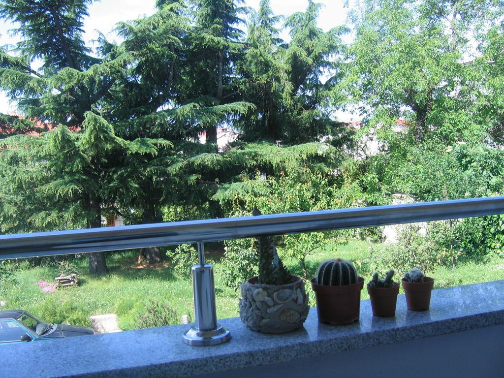 Apartment Cvjetna Rijeka Rum bild